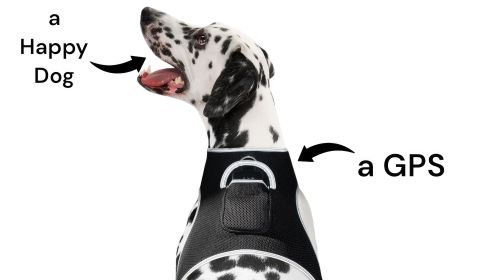 NEW GPS Tracking Collar Mount Waterproof Pet Locator Realtime Tracking Size:XL
