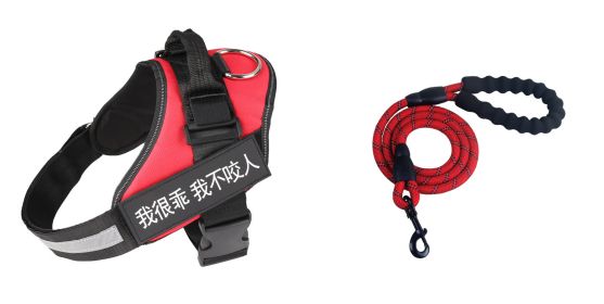 Fashion Simple Pet Leash Chest Strap Set (Option: Red-XS)